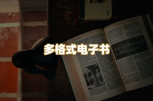多格式电子书